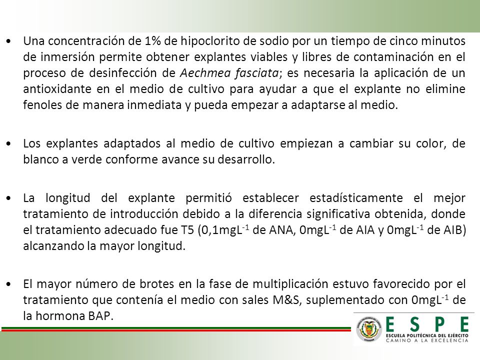 Una concentración de 1% de hipoclorito de sodio por un tiempo de cinco minutos de inmersión permite obtener explantes viables y libres de contaminación en el proceso de desinfección de Aechmea fasciata; es necesaria la aplicación de un antioxidante en el medio de cultivo para ayudar a que el explante no elimine fenoles de manera inmediata y pueda empezar a adaptarse al medio.