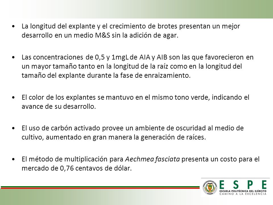 La longitud del explante y el crecimiento de brotes presentan un mejor desarrollo en un medio M&S sin la adición de agar.