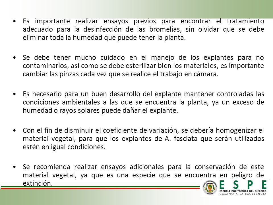 Es importante realizar ensayos previos para encontrar el tratamiento adecuado para la desinfección de las bromelias, sin olvidar que se debe eliminar toda la humedad que puede tener la planta.