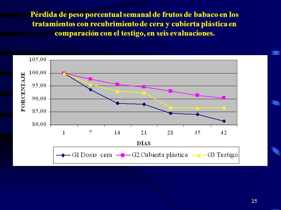 Pérdida de peso porcentual semanal de frutos de babaco en los