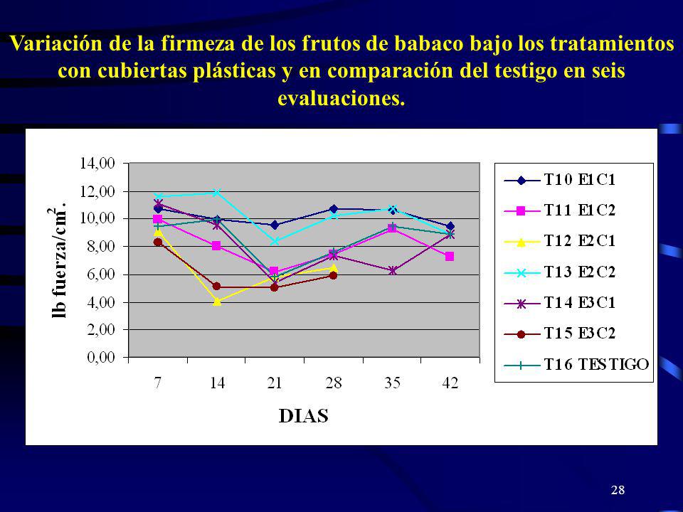 Variación de la firmeza de los frutos de babaco bajo los tratamientos con cubiertas plásticas y en comparación del testigo en seis evaluaciones.