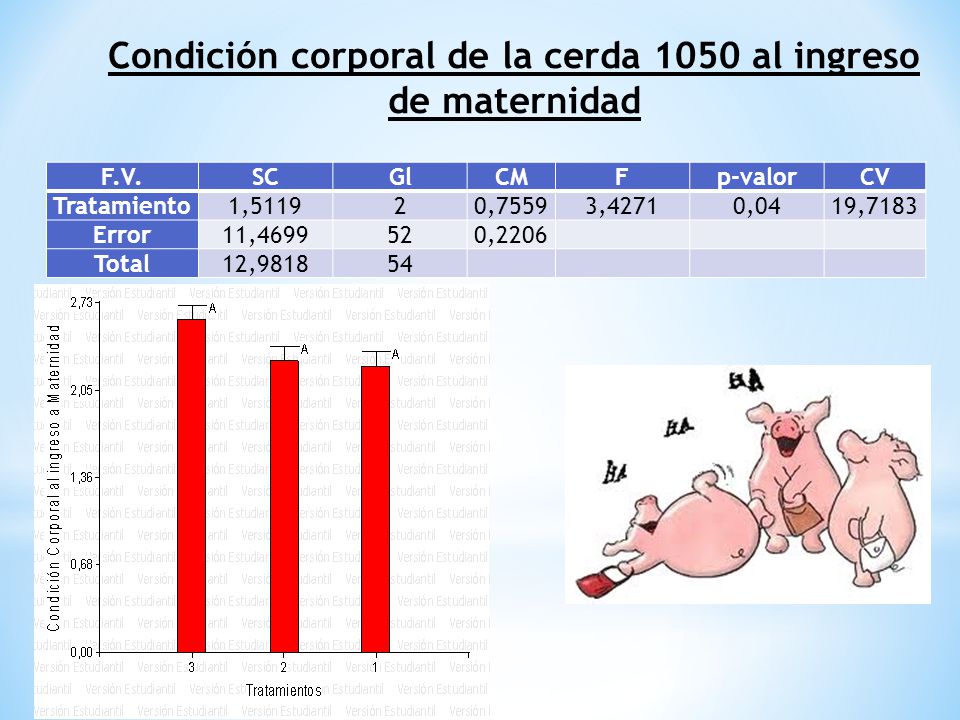 Condición corporal de la cerda 1050 al ingreso de maternidad