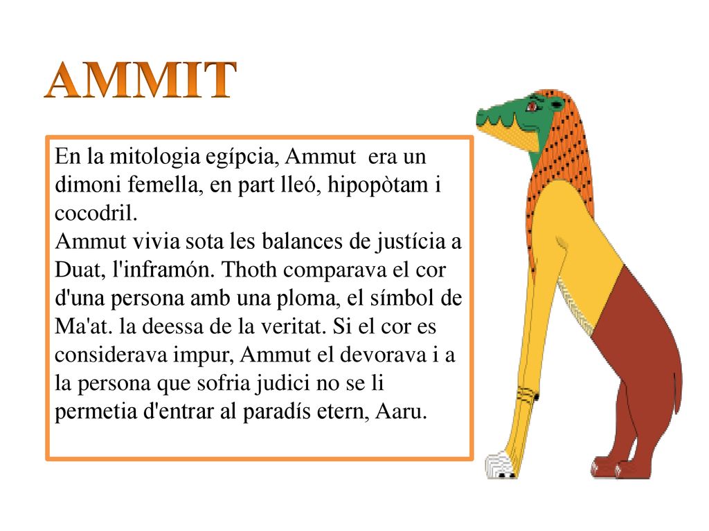 AMMIT En la mitologia egípcia, Ammut era un dimoni femella, en part lleó, hipopòtam i cocodril.