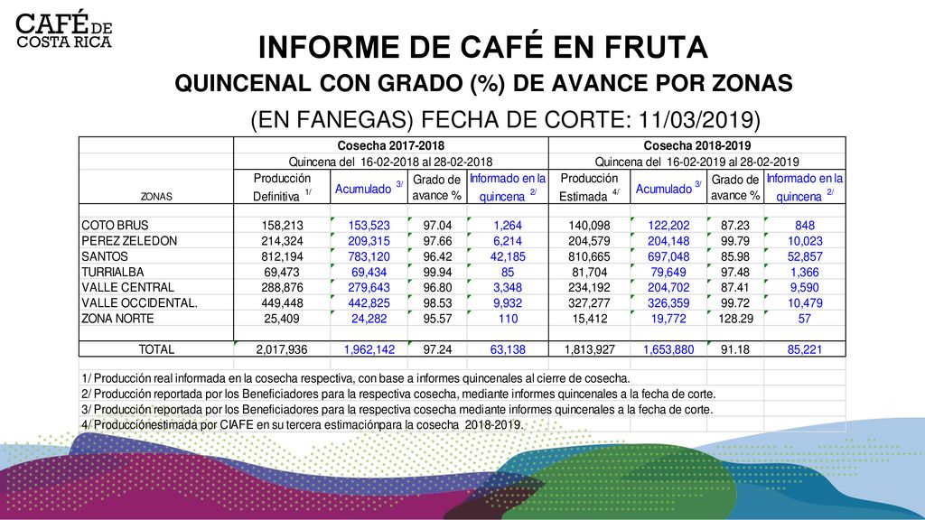 INFORME DE CAFÉ EN FRUTA QUINCENAL CON GRADO (%) DE AVANCE POR ZONAS