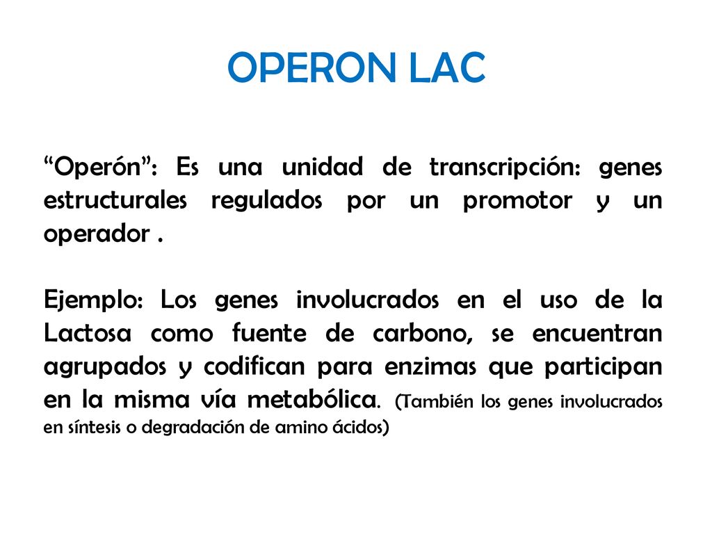 OPERON LAC Operón : Es una unidad de transcripción: genes estructurales regulados por un promotor y un operador .