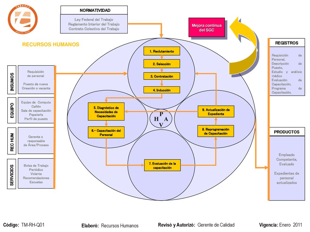 P H V A RECURSOS HUMANOS NORMATIVIDAD REGISTROS INSUMOS EQUIPO