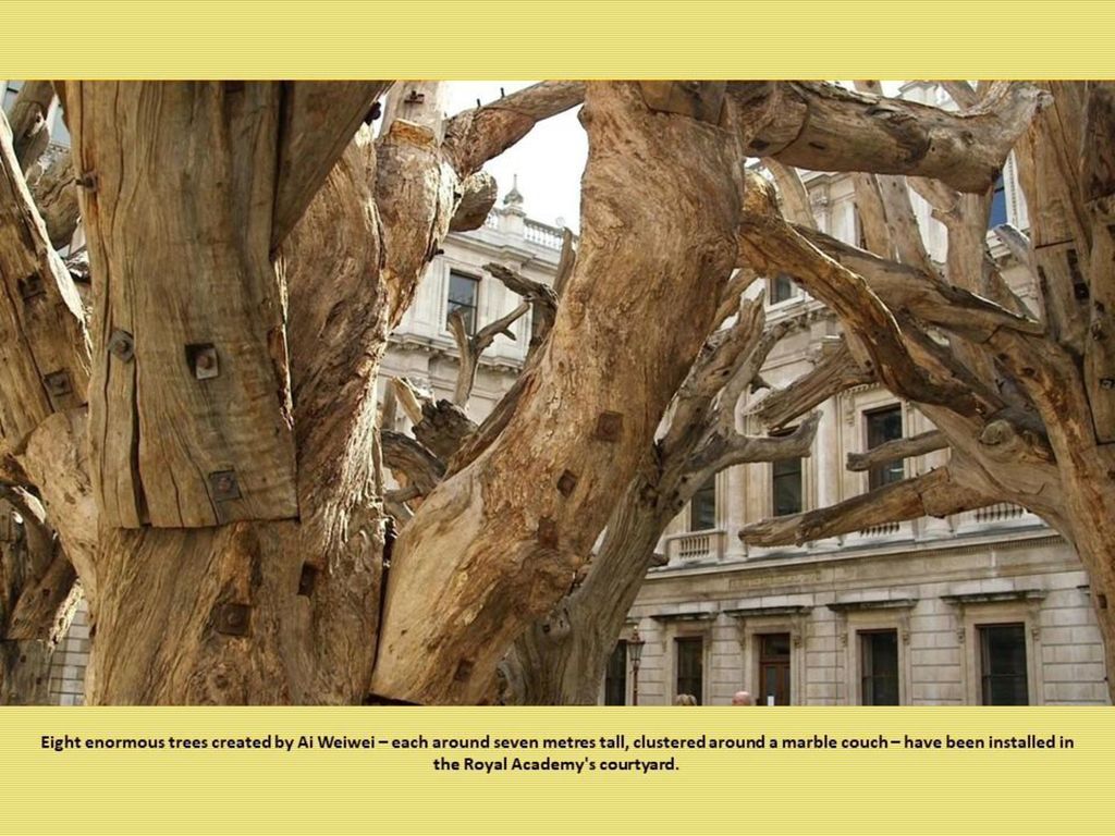 Eight enormous trees created by Ai Weiwei – each around seven metres tall, clustered around a marble couch – have been installed in the Royal Academy s courtyard.
