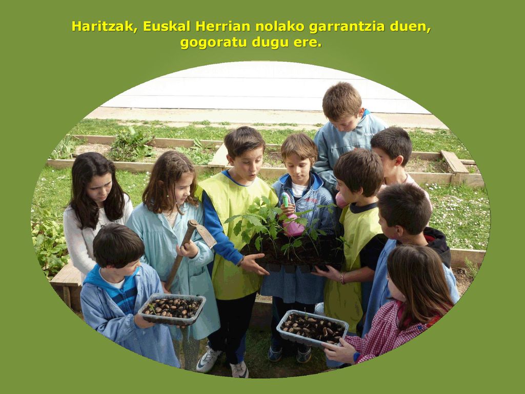 Haritzak, Euskal Herrian nolako garrantzia duen, gogoratu dugu ere.