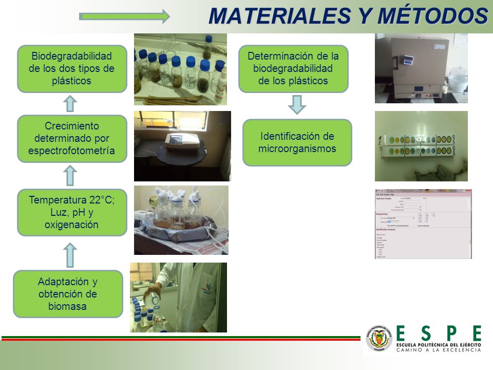 MATERIALES Y MÉTODOS Biodegradabilidad de los dos tipos de plásticos