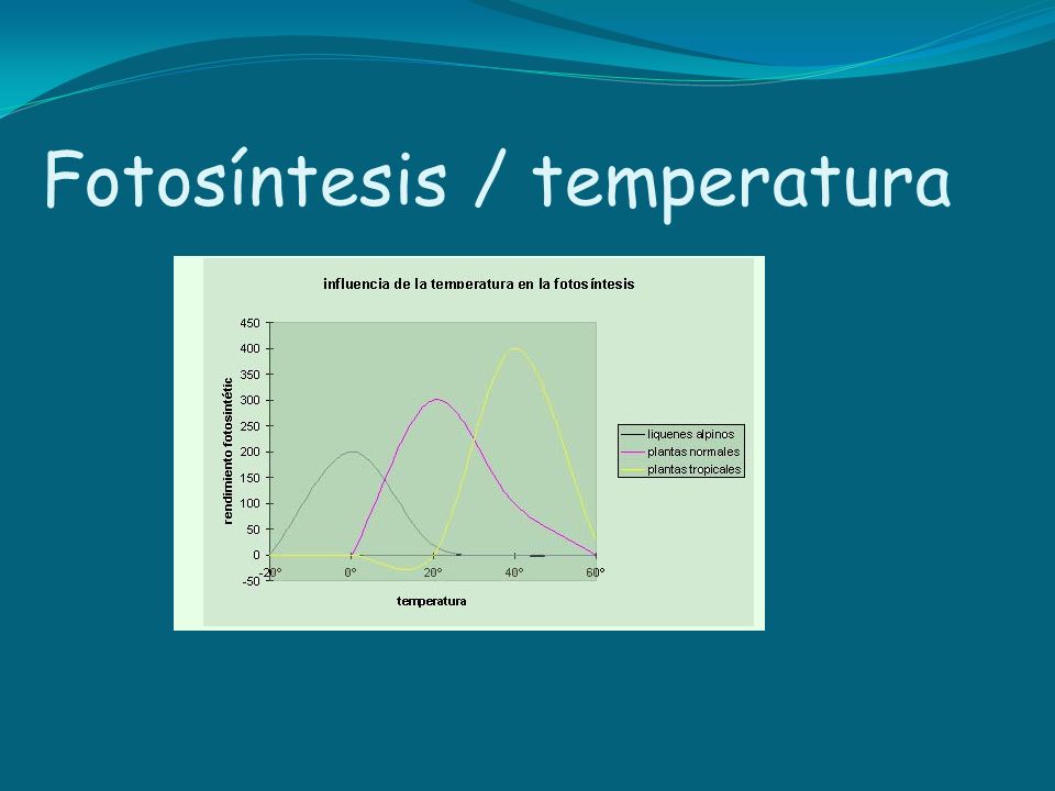 Fotosíntesis / temperatura