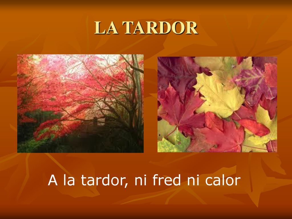 LA TARDOR A la tardor, ni fred ni calor