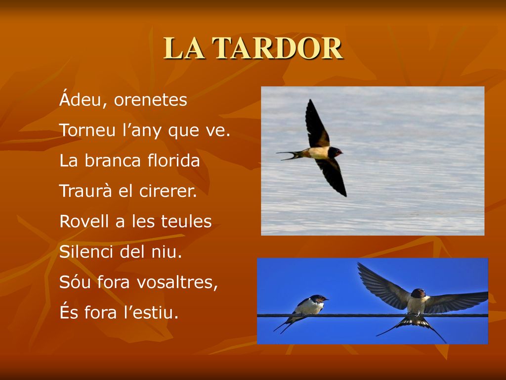LA TARDOR Ádeu, orenetes Torneu l’any que ve. La branca florida