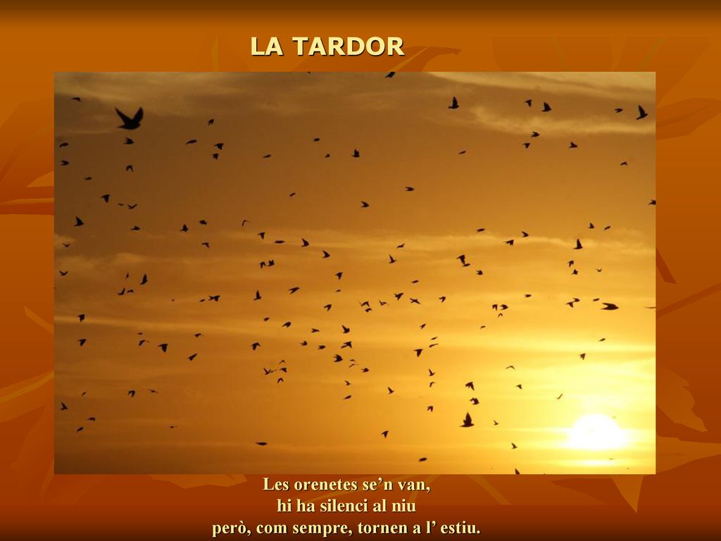 LA TARDOR Les orenetes se’n van, hi ha silenci al niu però, com sempre, tornen a l’ estiu.