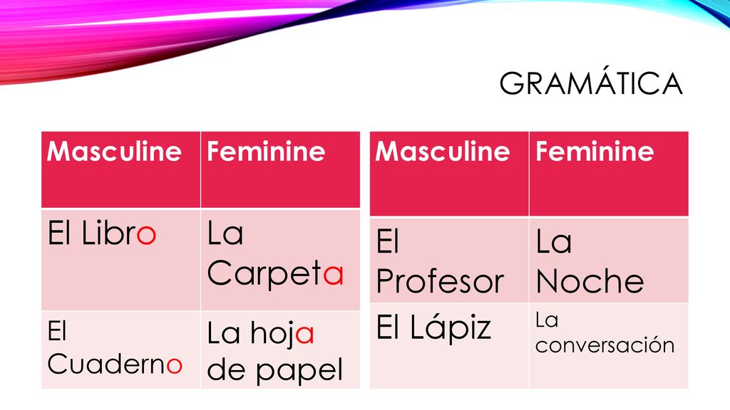 El Libro La Carpeta El Profesor La Noche El Lápiz Gramática