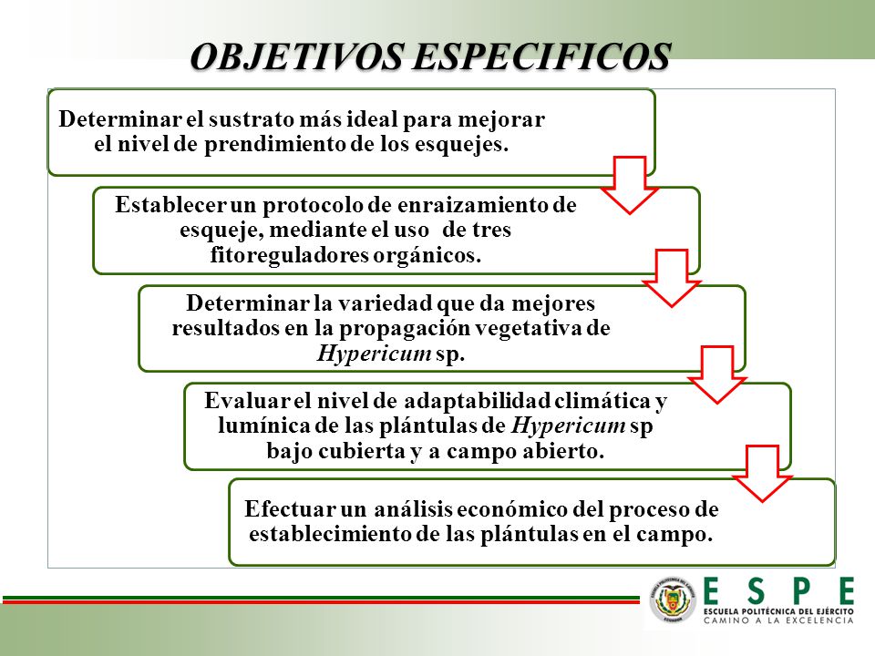 OBJETIVOS ESPECIFICOS