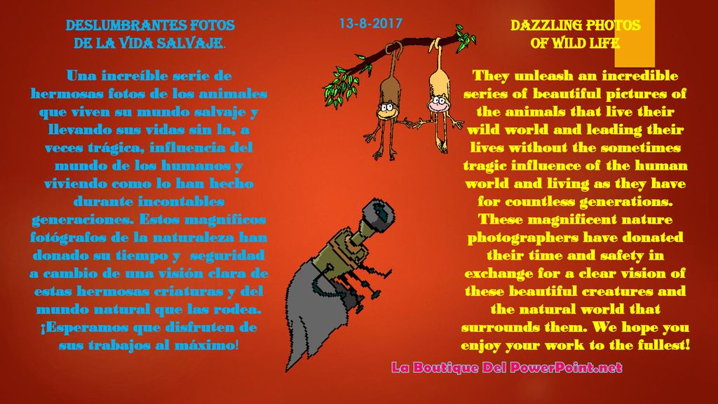 Dazzling Photos of Wild Life La Boutique Del PowerPoint.net
