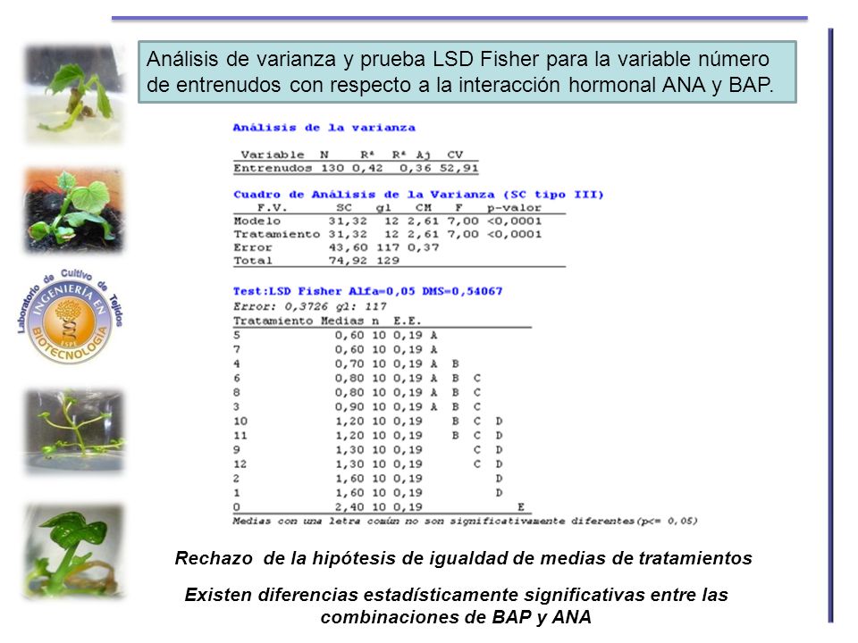 Análisis de varianza y prueba LSD Fisher para la variable número de entrenudos con respecto a la interacción hormonal ANA y BAP.