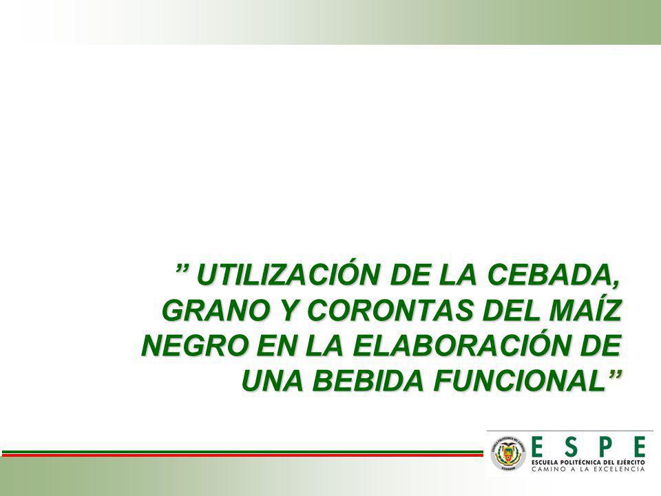 UTILIZACIÓN DE LA CEBADA, GRANO Y CORONTAS DEL MAÍZ NEGRO EN LA ELABORACIÓN DE UNA BEBIDA FUNCIONAL