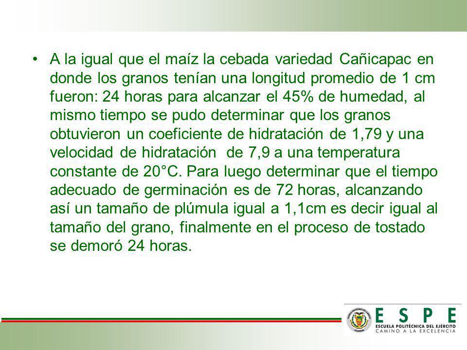 A la igual que el maíz la cebada variedad Cañicapac en donde los granos tenían una longitud promedio de 1 cm fueron: 24 horas para alcanzar el 45% de humedad, al mismo tiempo se pudo determinar que los granos obtuvieron un coeficiente de hidratación de 1,79 y una velocidad de hidratación de 7,9 a una temperatura constante de 20°C.