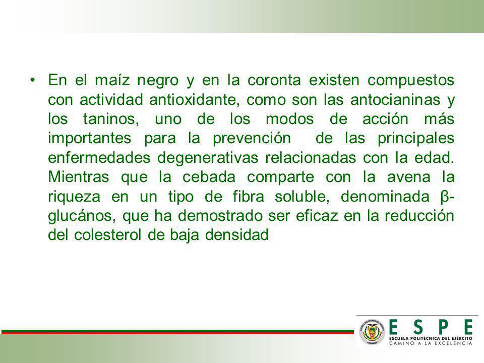 En el maíz negro y en la coronta existen compuestos con actividad antioxidante, como son las antocianinas y los taninos, uno de los modos de acción más importantes para la prevención de las principales enfermedades degenerativas relacionadas con la edad.