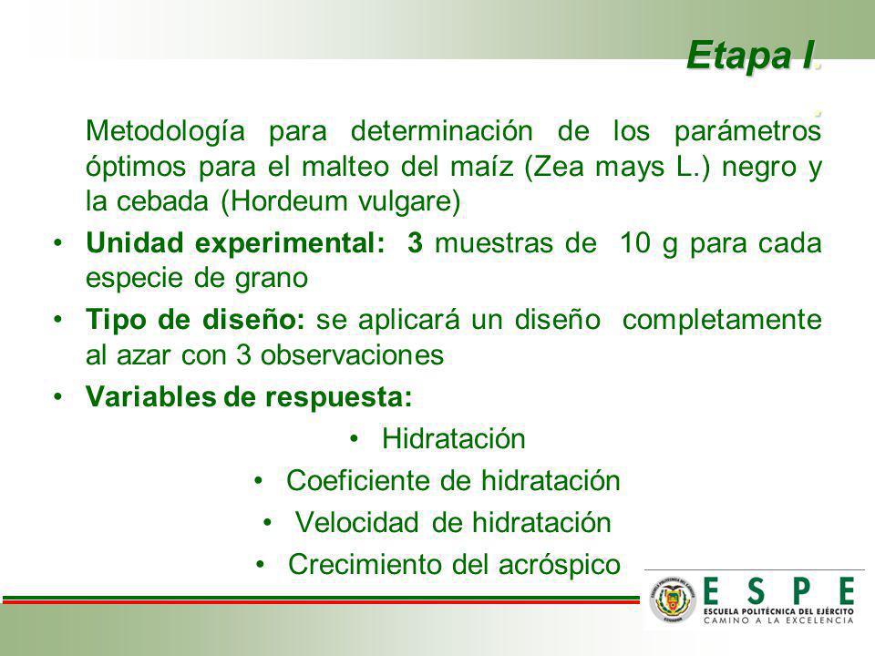 Etapa I. . Metodología para determinación de los parámetros óptimos para el malteo del maíz (Zea mays L.) negro y la cebada (Hordeum vulgare)