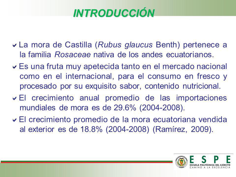 INTRODUCCIÓN La mora de Castilla (Rubus glaucus Benth) pertenece a la familia Rosaceae nativa de los andes ecuatorianos.