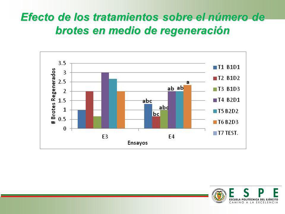 Efecto de los tratamientos sobre el número de brotes en medio de regeneración