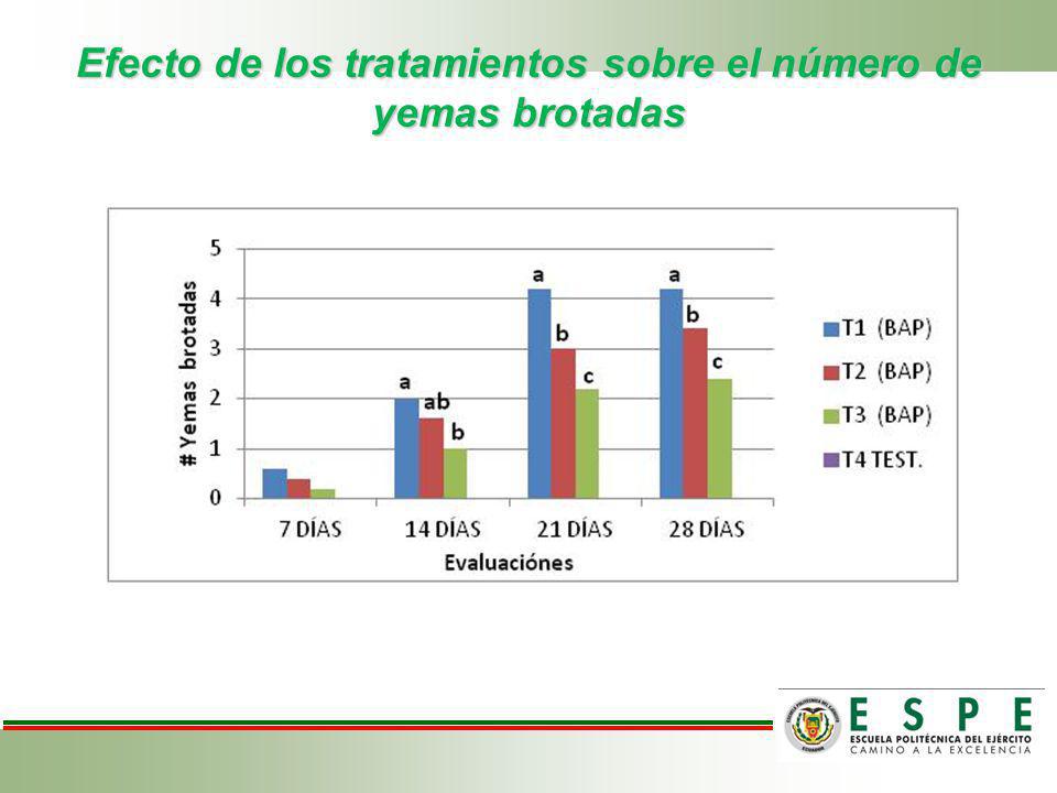 Efecto de los tratamientos sobre el número de yemas brotadas