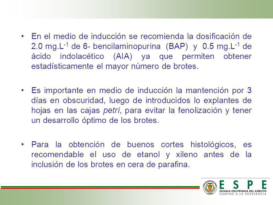 En el medio de inducción se recomienda la dosificación de 2. 0 mg