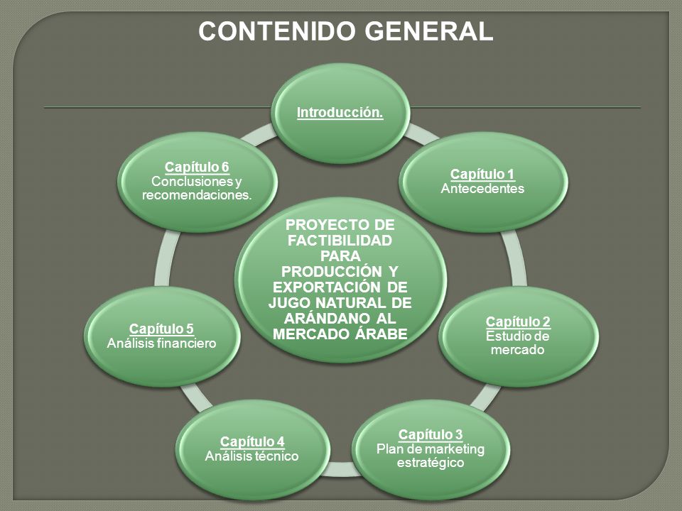 CONTENIDO GENERAL PROYECTO DE FACTIBILIDAD PARA PRODUCCIÓN Y EXPORTACIÓN DE JUGO NATURAL DE ARÁNDANO AL MERCADO ÁRABE.