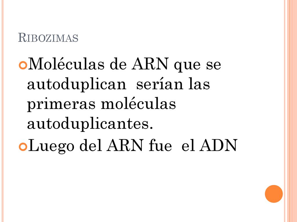 Ribozimas Moléculas de ARN que se autoduplican serían las primeras moléculas autoduplicantes.