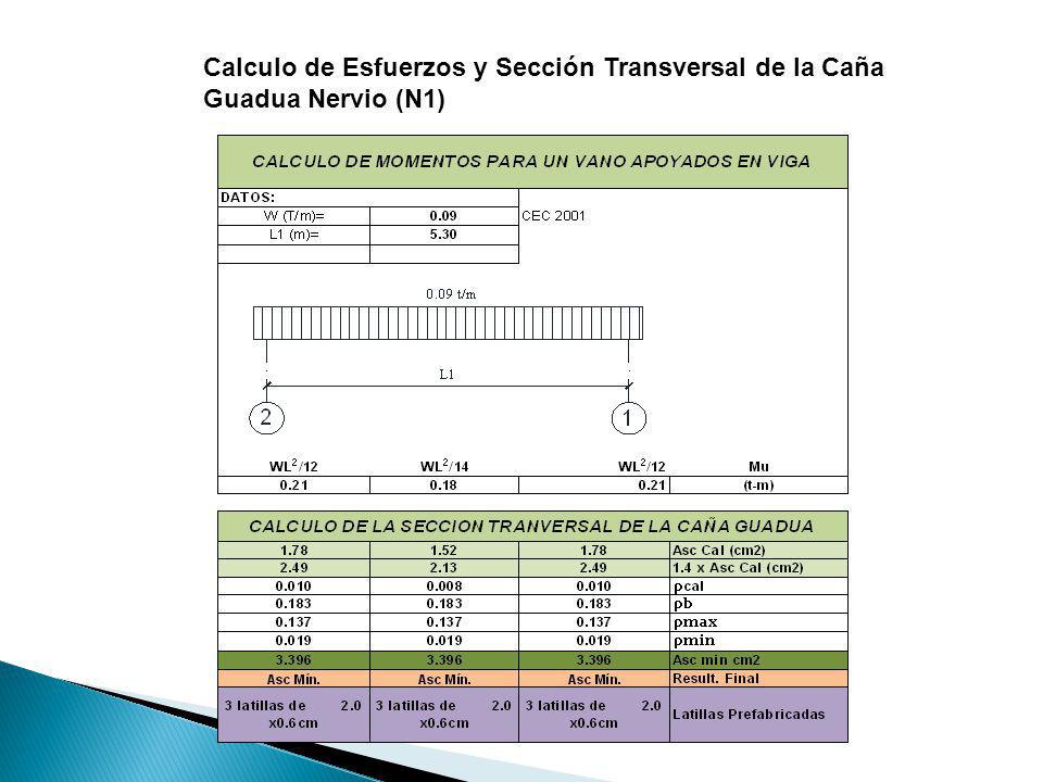 Calculo de Esfuerzos y Sección Transversal de la Caña Guadua Nervio (N1)