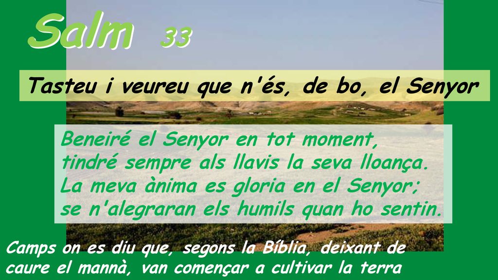 Salm 33 Tasteu i veureu que n és, de bo, el Senyor