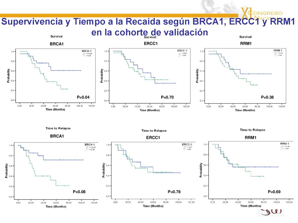 Supervivencia y Tiempo a la Recaida según BRCA1, ERCC1 y RRM1
