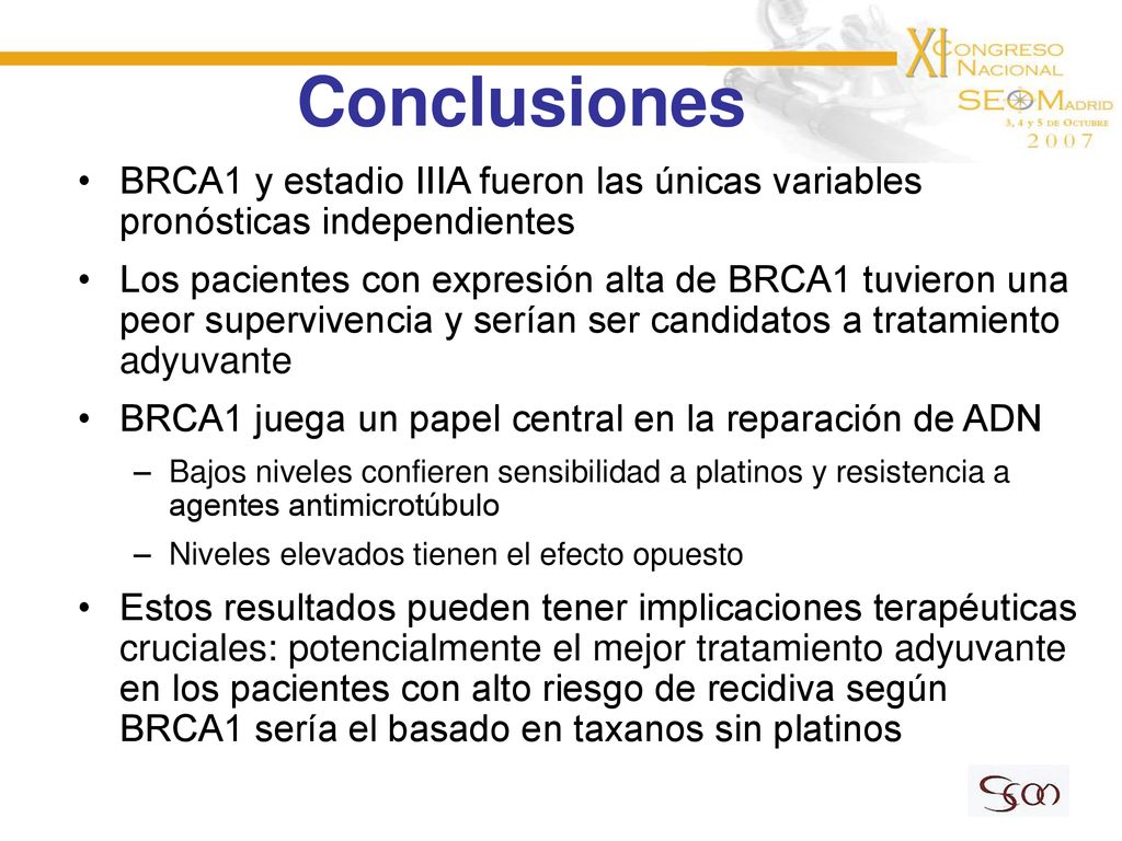 Conclusiones BRCA1 y estadio IIIA fueron las únicas variables pronósticas independientes.