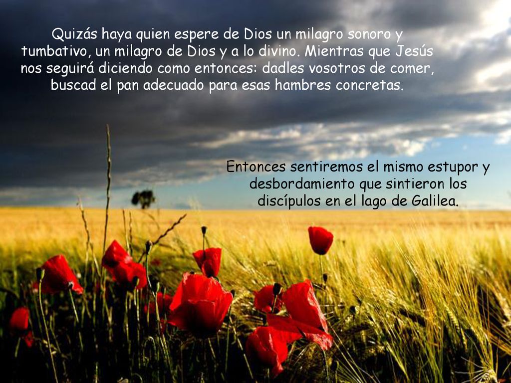 Quizás haya quien espere de Dios un milagro sonoro y tumbativo, un milagro de Dios y a lo divino. Mientras que Jesús nos seguirá diciendo como entonces: dadles vosotros de comer, buscad el pan adecuado para esas hambres concretas.