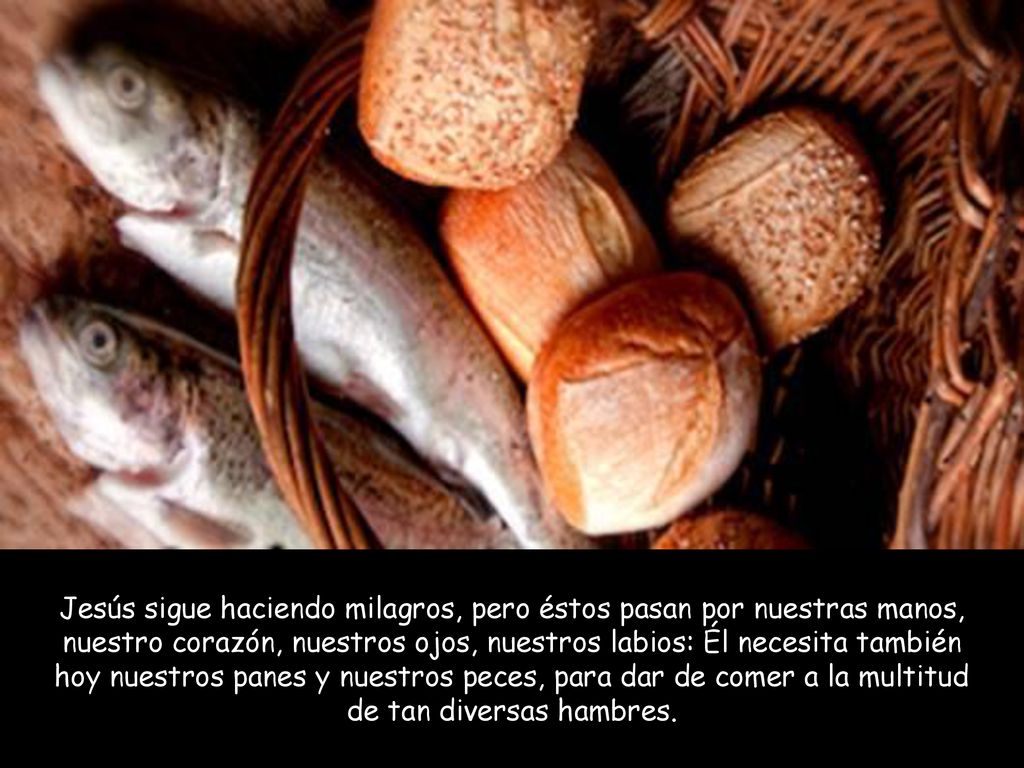 Jesús sigue haciendo milagros, pero éstos pasan por nuestras manos, nuestro corazón, nuestros ojos, nuestros labios: Él necesita también hoy nuestros panes y nuestros peces, para dar de comer a la multitud de tan diversas hambres.
