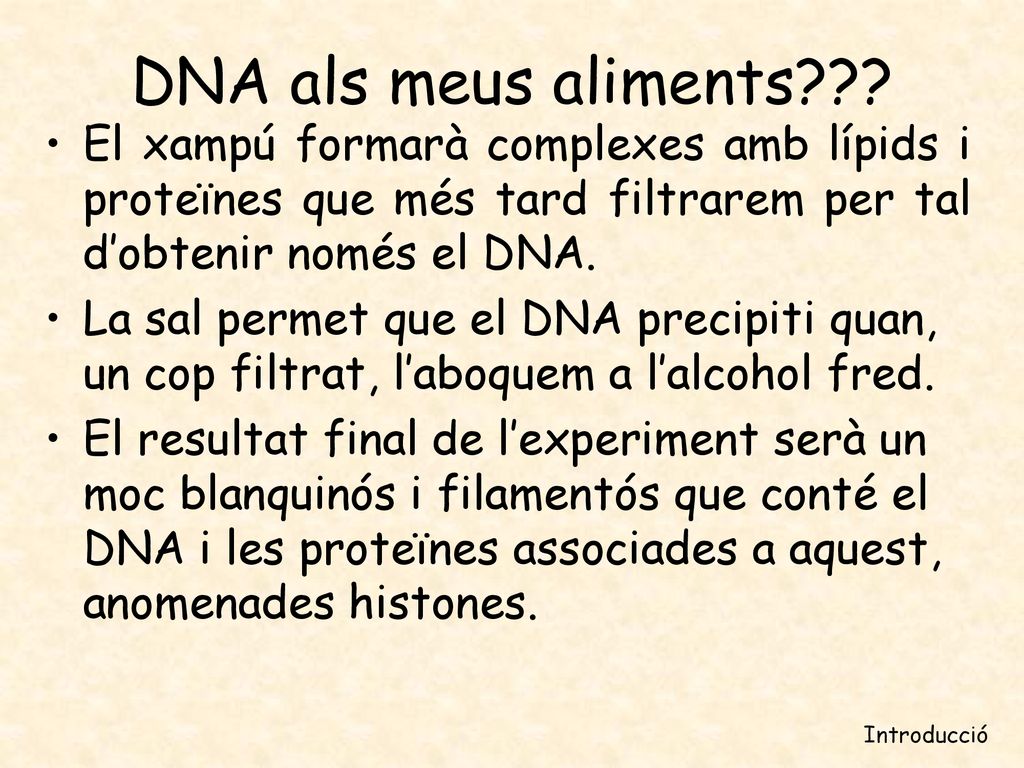 DNA als meus aliments El xampú formarà complexes amb lípids i proteïnes que més tard filtrarem per tal d’obtenir només el DNA.