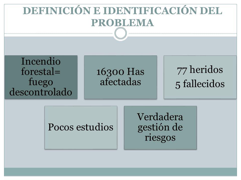 DEFINICIÓN E IDENTIFICACIÓN DEL PROBLEMA