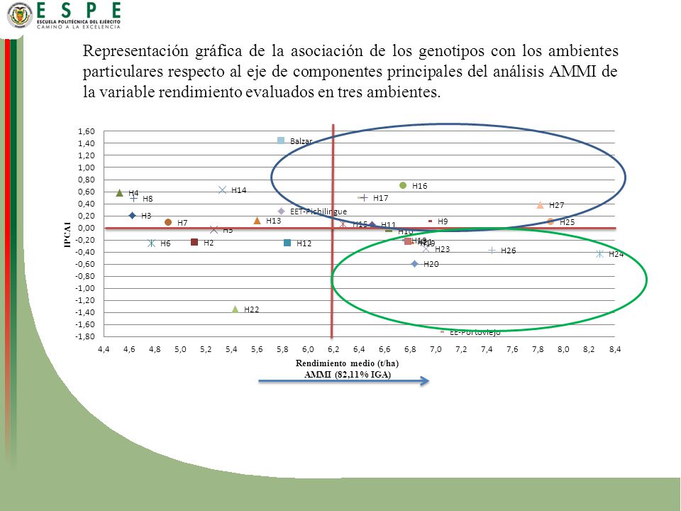 Representación gráfica de la asociación de los genotipos con los ambientes particulares respecto al eje de componentes principales del análisis AMMI de la variable rendimiento evaluados en tres ambientes.