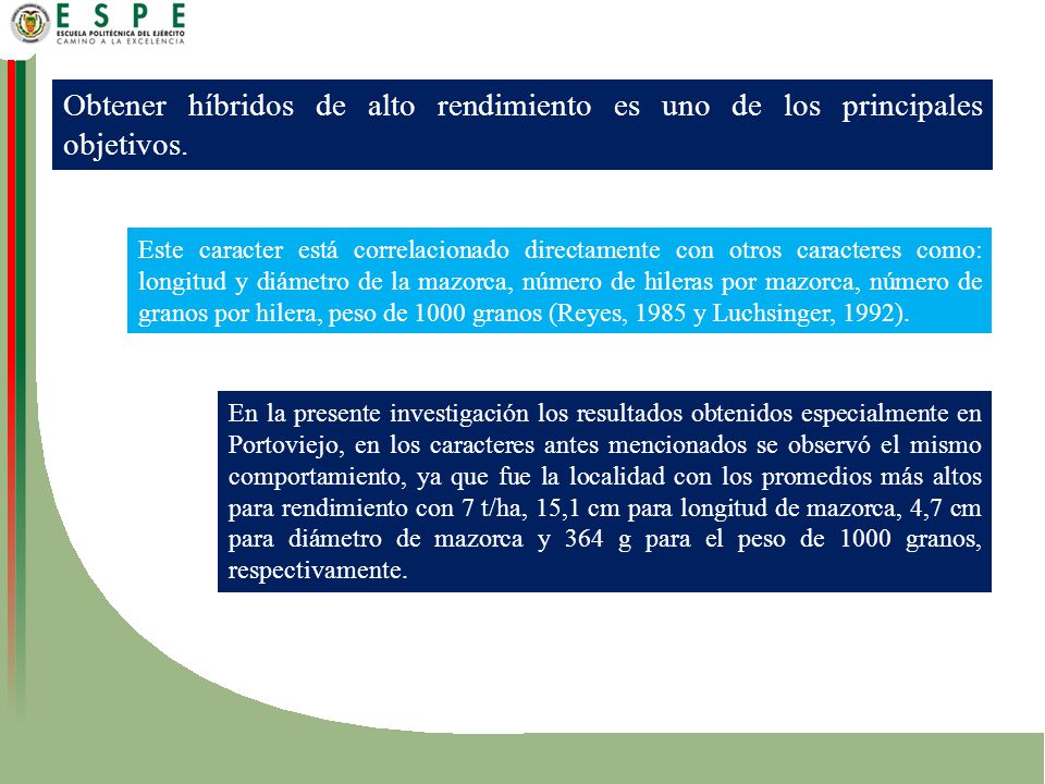 Obtener híbridos de alto rendimiento es uno de los principales objetivos.