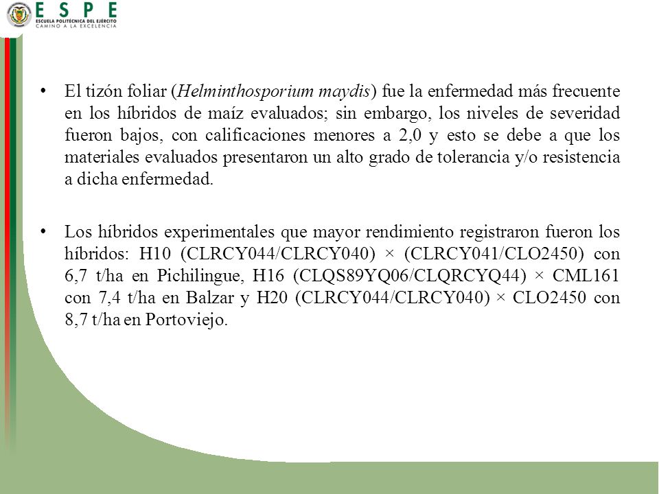 El tizón foliar (Helminthosporium maydis) fue la enfermedad más frecuente en los híbridos de maíz evaluados; sin embargo, los niveles de severidad fueron bajos, con calificaciones menores a 2,0 y esto se debe a que los materiales evaluados presentaron un alto grado de tolerancia y/o resistencia a dicha enfermedad.