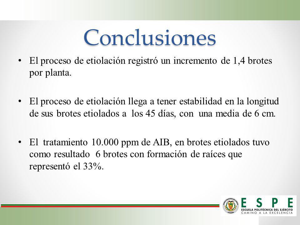 Conclusiones El proceso de etiolación registró un incremento de 1,4 brotes por planta.