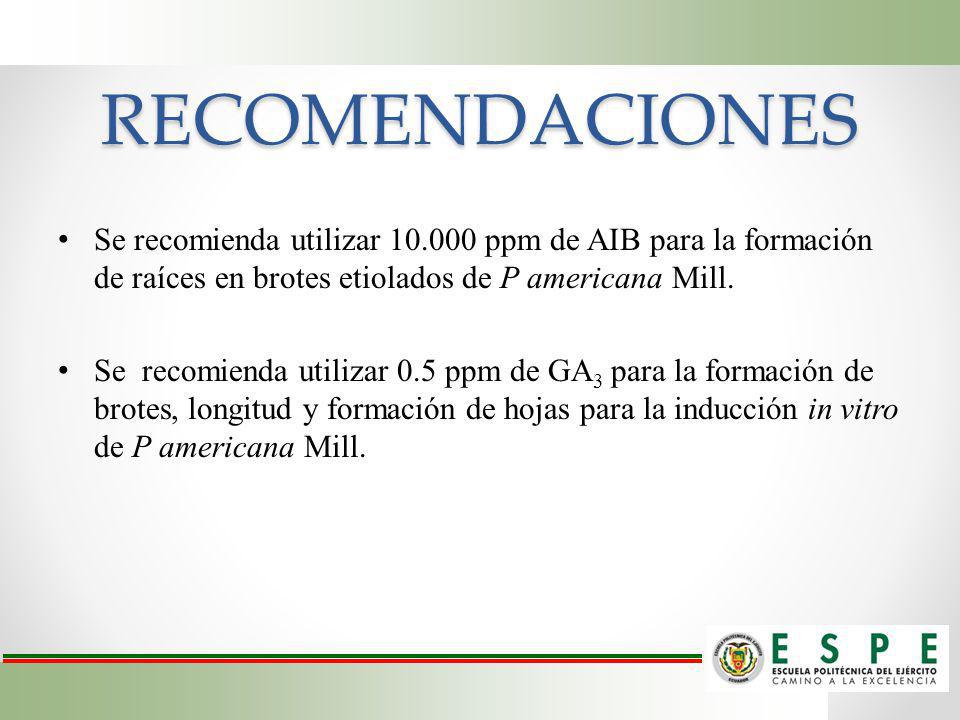 RECOMENDACIONES Se recomienda utilizar ppm de AIB para la formación de raíces en brotes etiolados de P americana Mill.