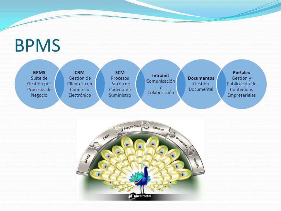 BPMS BPMS Suite de Gestión por Procesos de Negocio