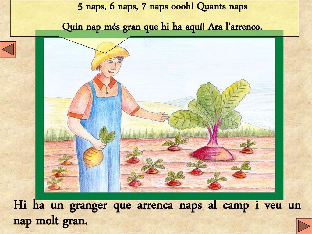 Hi ha un granger que arrenca naps al camp i veu un nap molt gran.