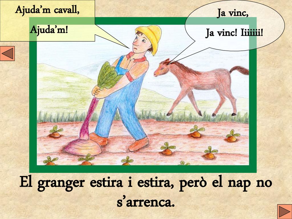 El granger estira i estira, però el nap no s’arrenca.