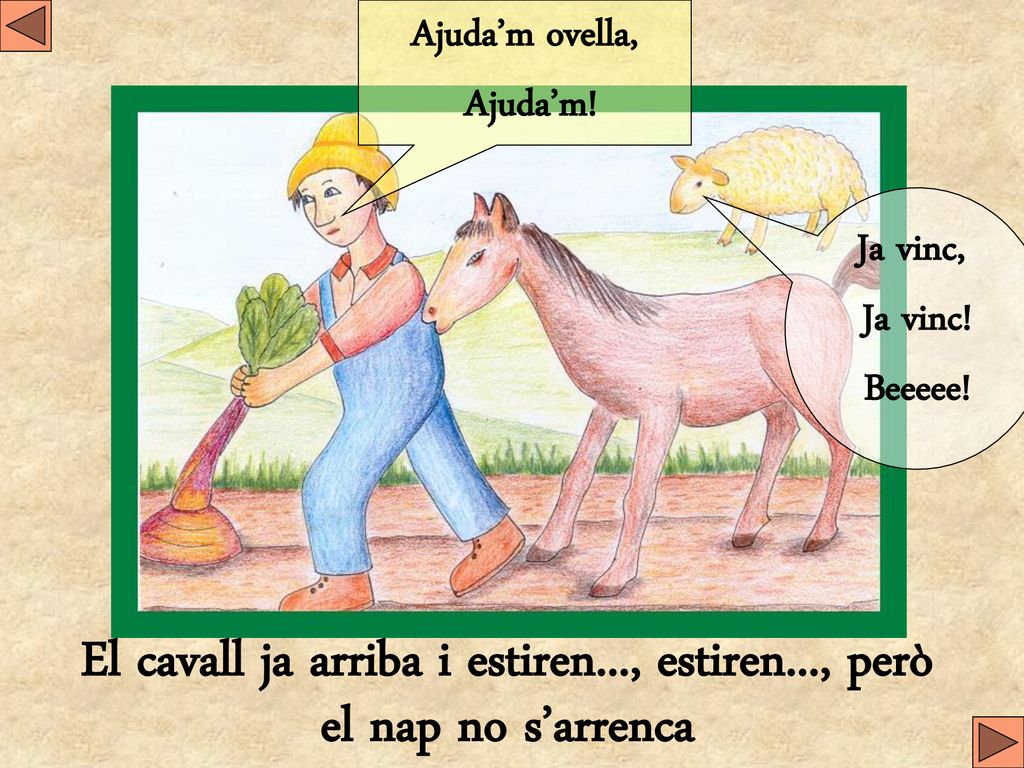 El cavall ja arriba i estiren..., estiren..., però el nap no s’arrenca