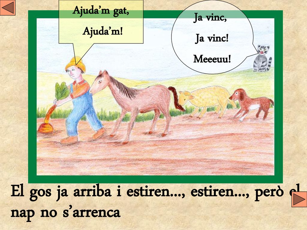 El gos ja arriba i estiren..., estiren..., però el nap no s’arrenca