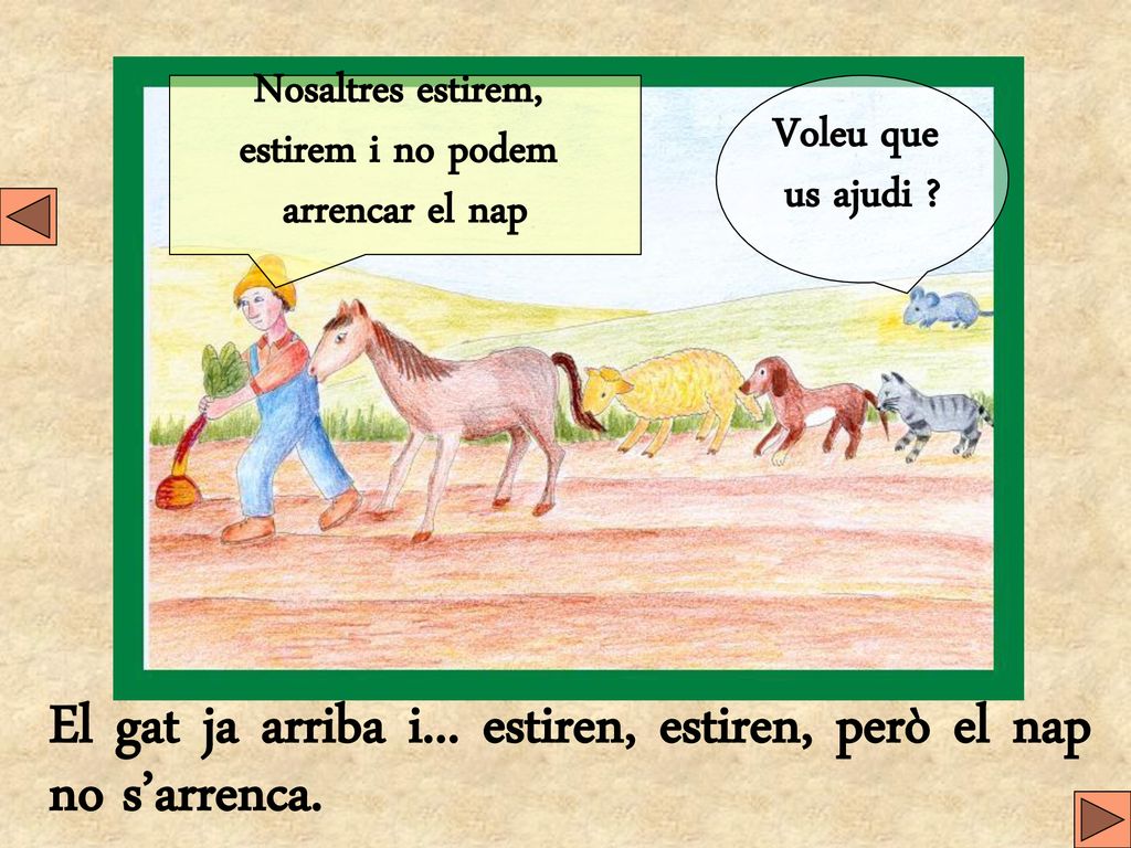 El gat ja arriba i... estiren, estiren, però el nap no s’arrenca.
